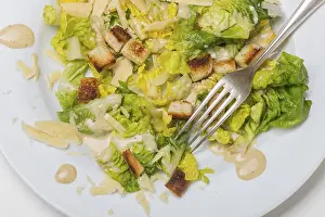 Vegetable Photography Prints: Caesar salad on a plate