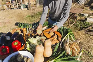Vegetarian Meal Preparation Prints: Calsots and an array of fresh vegetables are arranged on a table outdoors