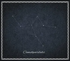 Dark Sky Astronomy Prints: Camelopardalis star constellation