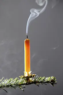 Candlelit Christmas Tree Prints: Candle