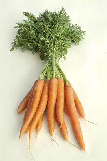 Eating Healthy Dishes Prints: Carrots