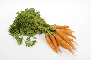 Isolated Food Images Prints: Carrots