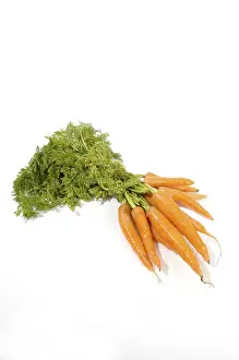 Vegetable Images Prints: Carrots