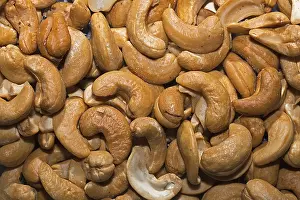 Deciduous Tree Pictures Prints: Cashew nuts
