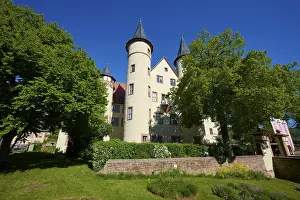 Historic German Castles Prints: Castle surrounded by large trees