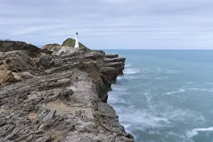 Blurred Motion Effect Prints: Castlepoint lighthouse on a rock