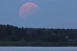 Evening Atmosphere In Nature Reserve Prints: Partial lunar eclipse on 07/08/2017