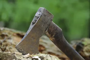 Uninhabited Forest Photography Prints: Rusty old axe in the forest