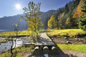 Daytime Lake Scenery Prints: Boardwalk over the Seebach Stream