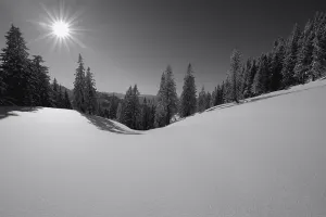 Winter Forest Photography Prints: Winter forest with mountain range in backlight