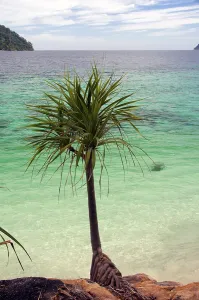 Andaman Sea Islands Prints: Ko Yang is a tiny