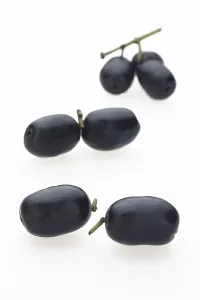 Southeast Asian Fruits Prints: Java plum