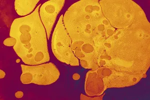 Traditional Marbling Technique Prints: Abstract creative marble pattern texture