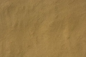 No People Background Image Prints: Wall surface as a simple background texture pattern