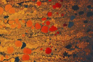 Empty Deserted Backgrounds Prints: Abstract creative marble pattern texture