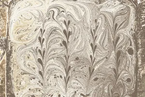 Traditional Ebru Marbling Prints: Abstract creative marble pattern texture