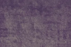 No People Background Image Prints: Wall surface as a simple background texture pattern