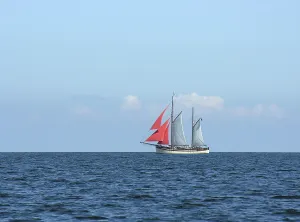 Historic Sailing Vessel Prints: Sailor