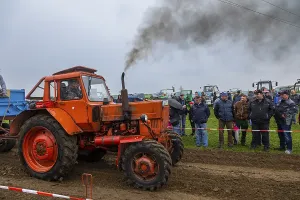 Antique Tractors For Sale Prints: Tractor Pulling