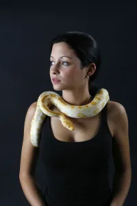 Prints of Woman with Indian Python (Python molurus), albino Indian Python Prints: Albino Woman with Indian Python Print (Python molurus)