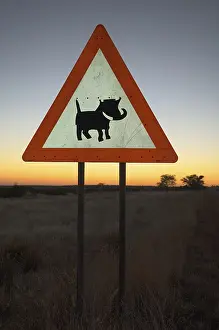Prints of Caution label to beware of warthogs, Windhoek, Namibia, Africa Warthog Prints: Caution Label to Beware of Warthogs Print, Windhoek, Namibia