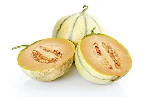 Indoor Plant Photography Prints: Cavaillon melons