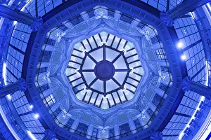 Urban Japan Photography Prints: Ceiling of the image of Tokyo Station