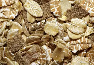 Muesli Nutrition Prints: Cereals