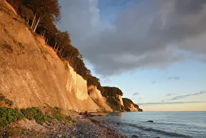 Rügen Island Landscape Prints: Chalk cliffs in the morning light