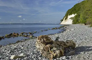 Northern German Coastline Prints: The chalk cliffs of Rugen
