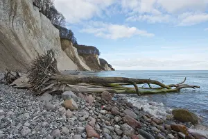 Rgen Island Scenic Views Prints: Chalk cliffs on the steep coast