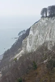 Chalk Cliffs Germany Prints: Chalk cliffs on the steep coast