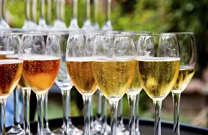 Wedding Celebration Prints: Champagne reception