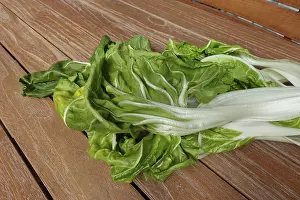 Leafy Vegetable Nutrition Prints: Chard raw
