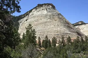 Zion National Park USA Prints: Checkerboard Mesa Table Mountain