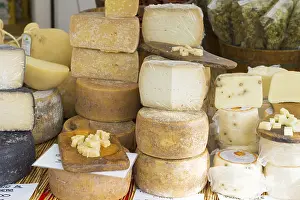 No People Grocery Shopping Prints: Cheese