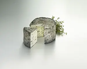 Bright Studio Environment Prints: Cheese on a light background, decorated with thyme