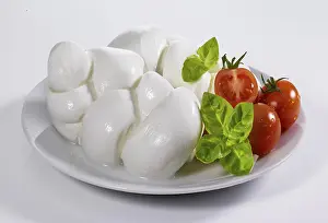 Bright Background Studio Shot Prints: Cheese, mozzarella, on a light background