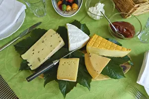 Cheese Platter Prints: Cheese platter with different types of cheese
