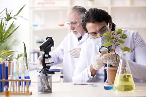 Chemist At Work Prints: Two chemists working in the lab