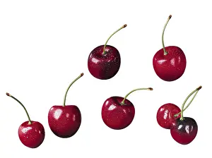 Studio Background Food Photos Prints: Cherries