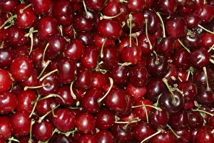 Stone Fruit Photography Prints: Cherries