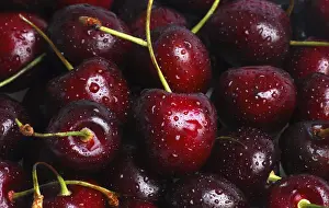 Fresh Fruit Studio Shot Prints: Cherries