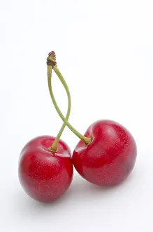 Studio Shot Of Cherries Prints: Cherries