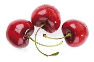 Studio Shot Cherries Prints: Cherries