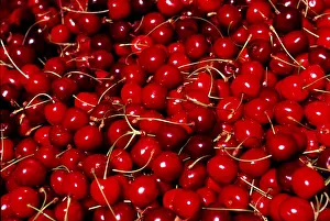 Fruit Photography Ideas Prints: Cherries
