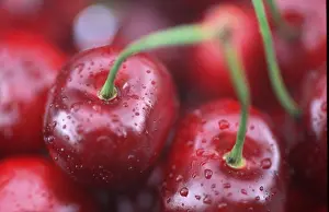 Red Cherry Fruit Prints: Cherries