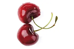 Red Cherry Prints: Two cherries