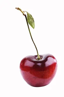 Red Cherry Fruit Prints: Cherry