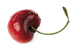 Studio Shot Of Cherries Prints: Cherry